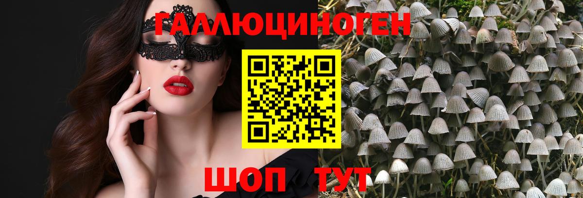 Галлюциногенные грибы мицелий Асбест