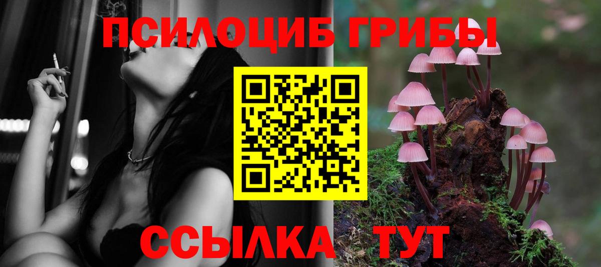 Псилоцибиновые грибы Psilocybe  Вход с VPN  Асбест 